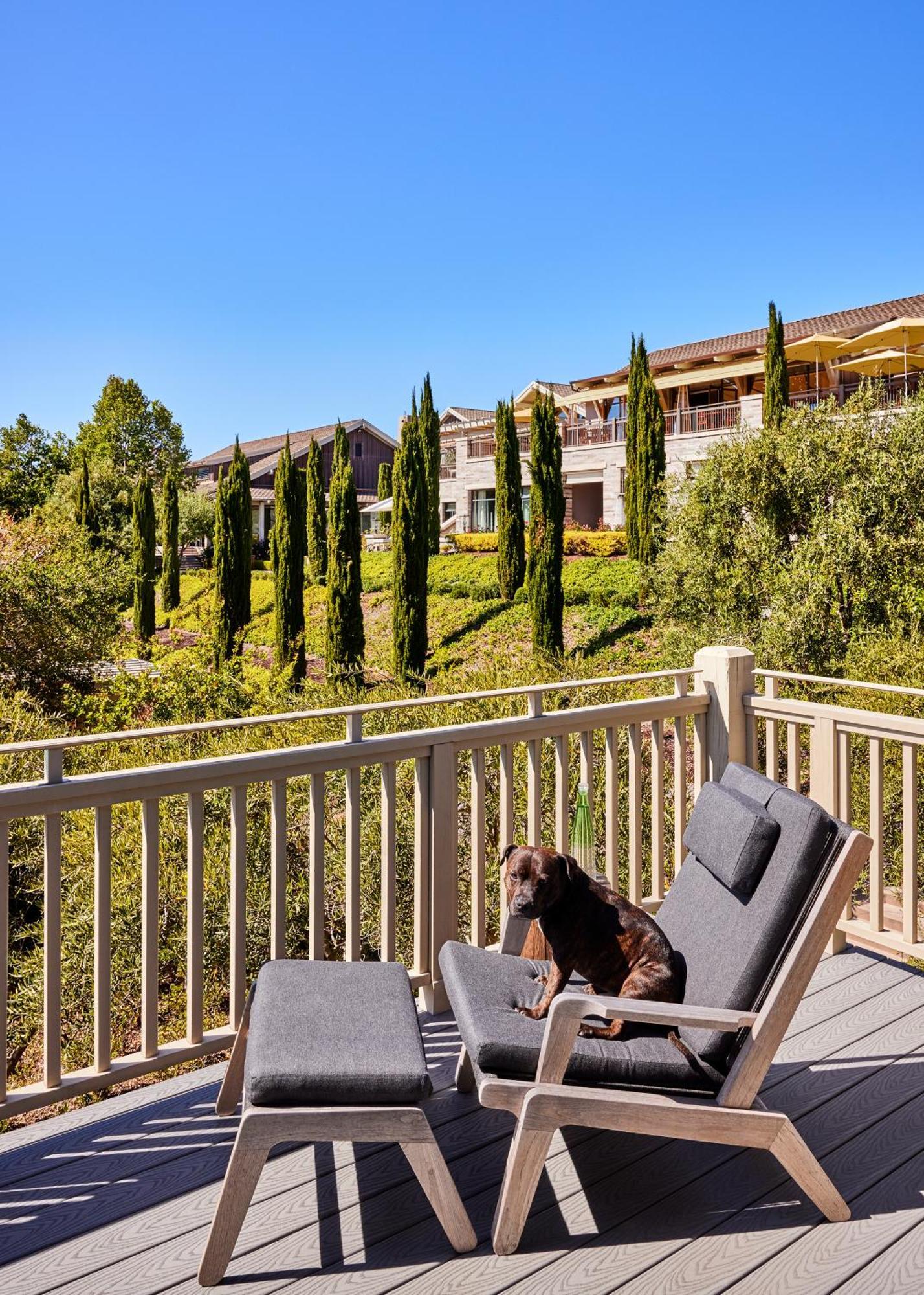 Rosewood Sand Hill Menlo Park Eksteriør billede